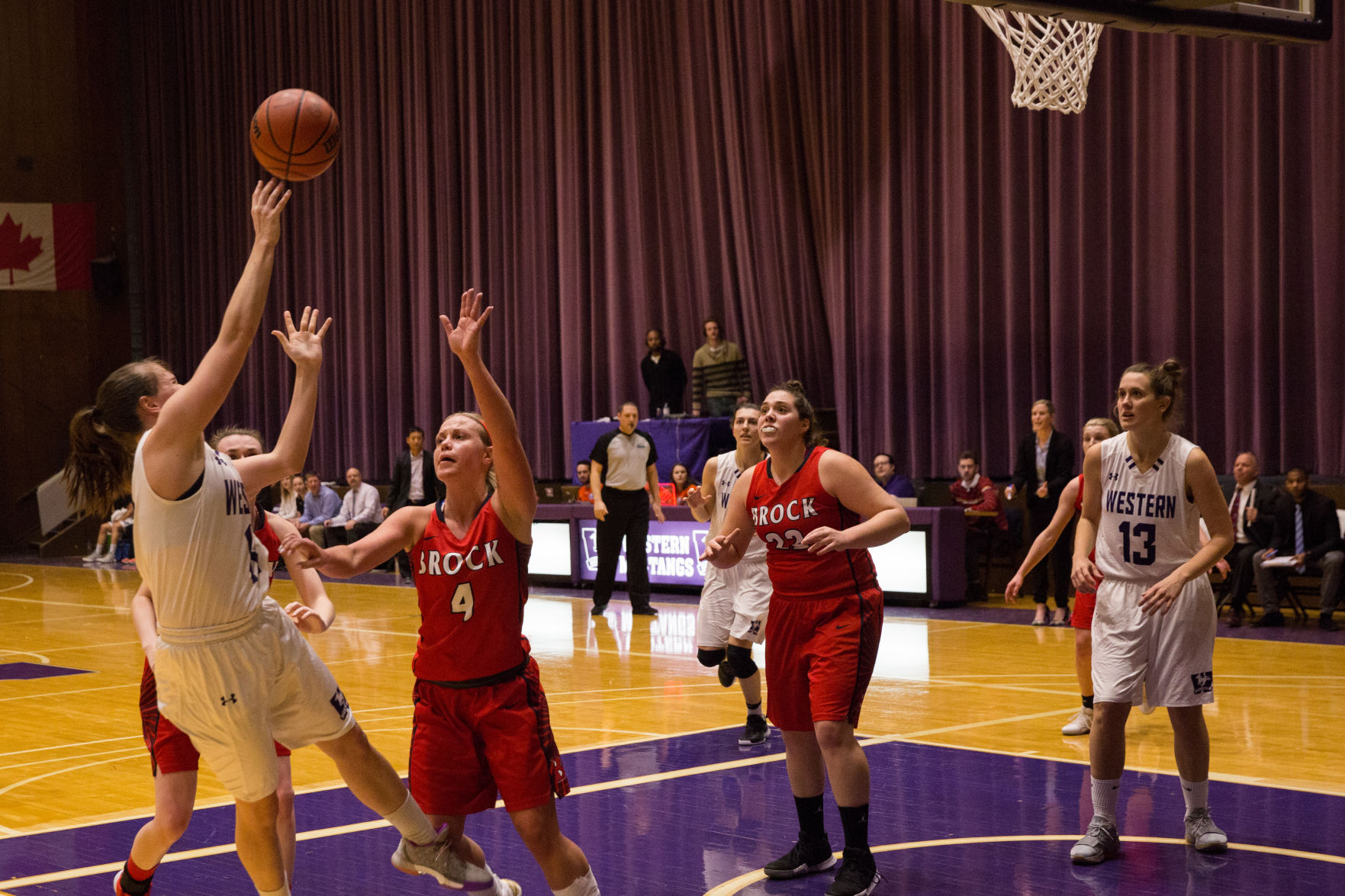 women's basketball vs brock